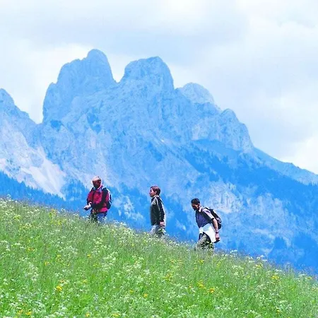 In With Swimming Pool شاليه