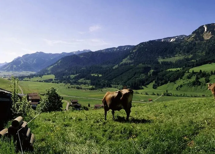 Horská chata In With Swimming Pool *