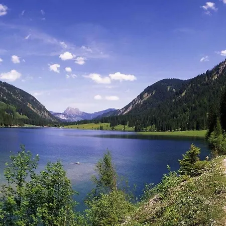 In With Swimming Pool *